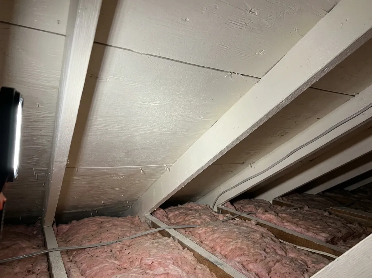 Mold remediation result